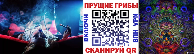 Псилоцибиновые грибы прущие грибы  Спасск-Рязанский 